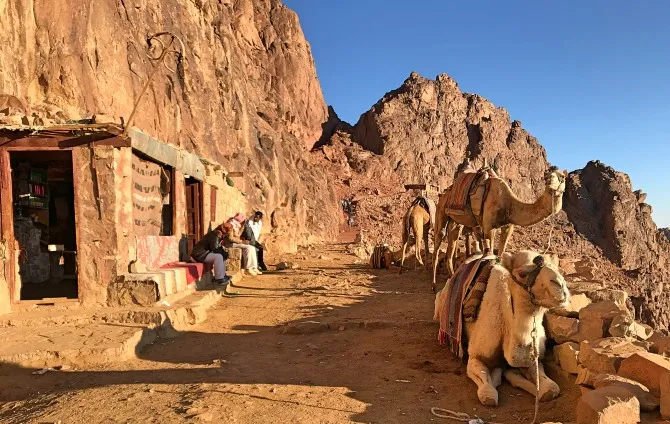 Sinai-Egypt