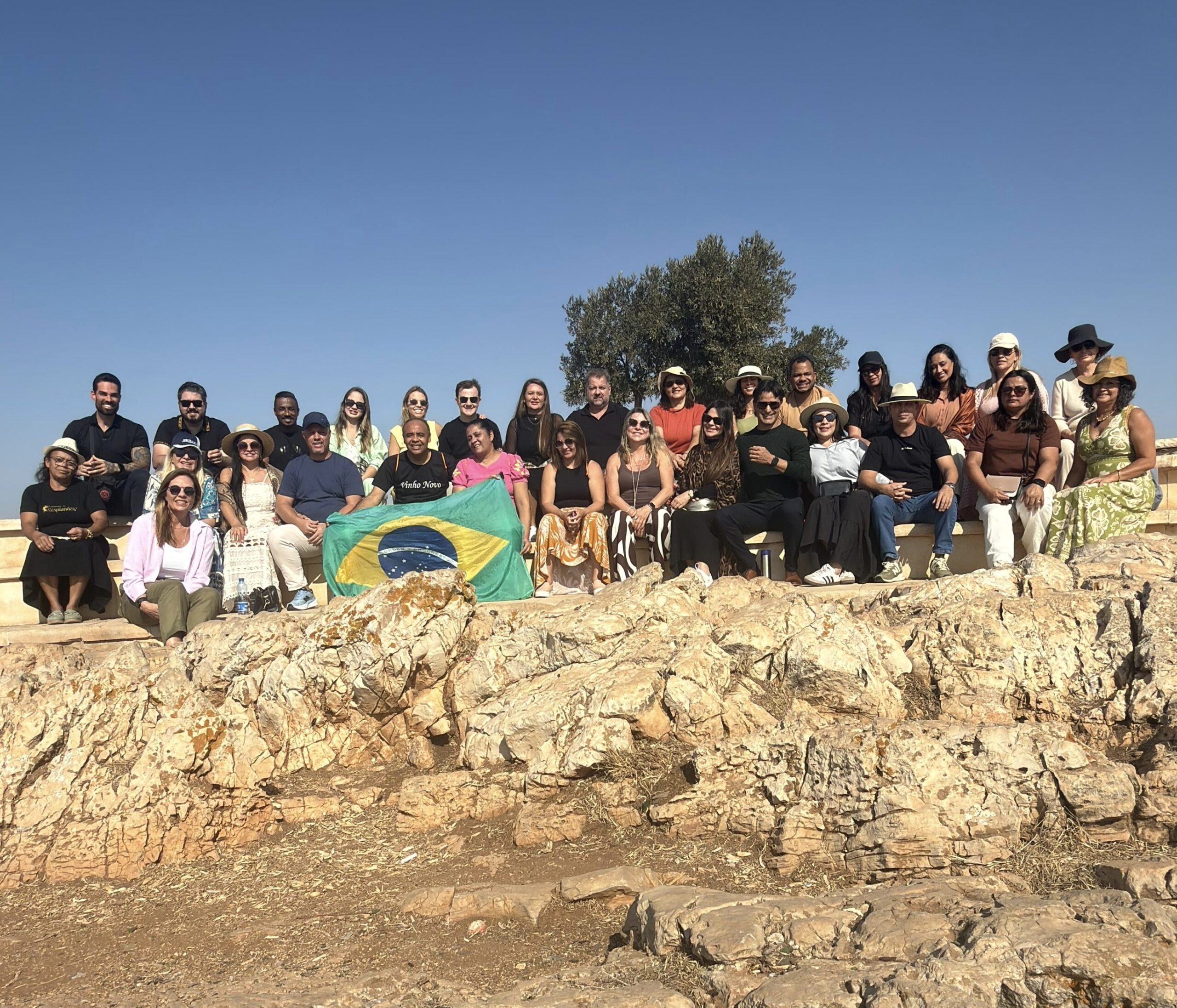 d203fc12-2640-48a8-b155-40c17201691b 3